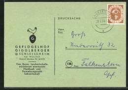 AK Schleissheim Bei München, Geflügelhof Gigglberger  - Other & Unclassified