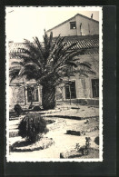 Foto-Cartolina Ravello, Wohnhaus Und Palmen  - Otros & Sin Clasificación