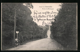 CPA Desvres, Route De Boulogne, Le Foret  - Desvres