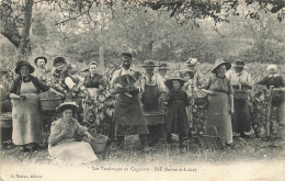 CPA Igé-Les Vendanges En Cogniaut-Timbre   L2937 - Sonstige & Ohne Zuordnung