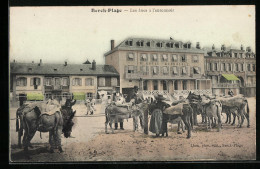 CPA Berck-Plage, Les Anes à L'entonnoir  - Berck