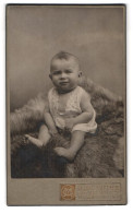 Fotografie Georg Matthes, Rosswein, Mittelstrasse 17, Baby Auf Schafsfell  - Anonyme Personen