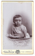 Fotografie F. W. Werner, Riesa, Kastanienstrasse 81, Sitzendes Baby  - Personnes Anonymes