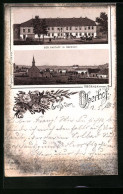 Vorläufer-Lithographie Oberhof, 1895, Ansicht Vom Gasthof, Teilansicht Mit Kirche  - Oberhof