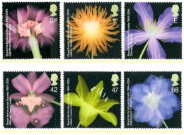 GROSBRITANNIEN GRANDE BRETAGNE GB 2004 R.HORTICULTURAL SOCIETY SET 6V MNH SG 2456-61 SN 2209-14 MI 2217-22 YT 2559-64 - Neufs