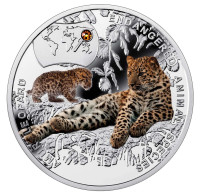 Zambia Silver Plated Commemorative Badge,Amur Leopard - Animales