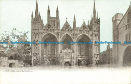 R627872 Peterborough Cathedral. Dainty Series - Monde