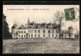 CPA Fougères-Feings, Chateau De Boissay  - Andere & Zonder Classificatie