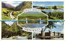 R627940 Beauty Spots Of North Wales. Pass Of Llanberis. Multi View - Mundo