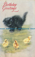 R627286 Birthday Greetings. Persian Pussies. Little Bits Of Fluff. Tuck. Oilette - Mundo