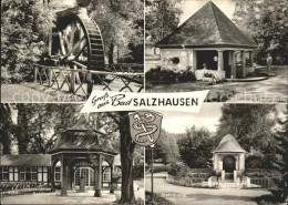 72135079 Bad Salzhausen Lithumquelle Wasserrad Salzquelle Stahlquelle Bad Salzha - Autres & Non Classés