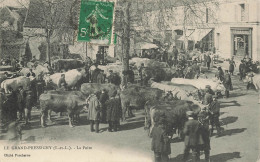 CPA Le Grand-Pressigny-La Foire-Timbre   L2938 - Le Grand-Pressigny