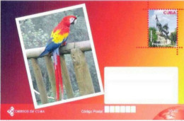 2864  Parrots - Perroquets -  Zoo - 2011 - Postal Sta. - Unused - Cb - 1,75 . - Papageien