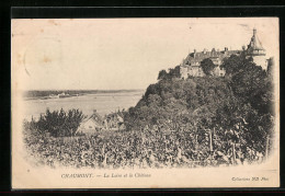 CPA Chaumont, La Loire Et Le Château  - Sonstige & Ohne Zuordnung