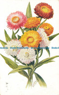 R627313 Everlasting Flowers. Postcard - World