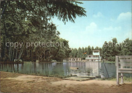 72131914 Seifhennersdorf Waldbad Silberteich Seifhennersdorf - Seifhennersdorf