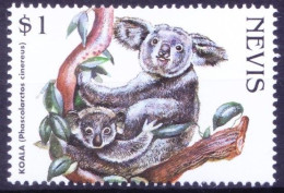 Nevis 1998 MNH, Koala, Wild Animals - Apen