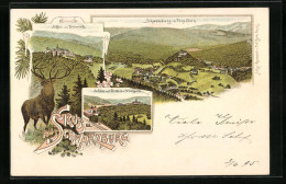 Lithographie Schwarzburg, Teilansicht Vom Tripstein, Schloss Mit Terrasse Und Hirschwiese, Schloss Vom Helenensitz  - Sonstige & Ohne Zuordnung