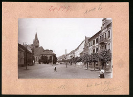 Fotografie Brück & Sohn Meissen, Ansicht Liebenwerda, Blick Auf Den Rossmarkt, Geschäft Reinhold Thielemann, Zahn-At  - Plaatsen