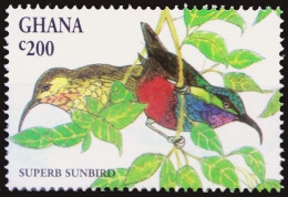 Ghana 1994 MNH, Birds, Superb Sunbird - Piciformes (pájaros Carpinteros)