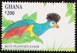 Ghana 1994 MNH, Birds, Blue Plantain Eater - Piciformes (pájaros Carpinteros)