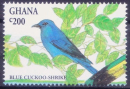 Ghana 1994 MNH, Birds, Blue Cuckoo Shrike - Cuculi, Turaco