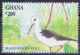 Ghana 1994 MNH, Birds, Black Winged Stilt - Ooievaars