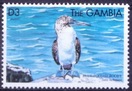 Gambia 1999 MNH, Blue Footed Booby, Sea Birds - Marine Web-footed Birds