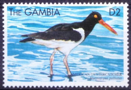 Gambia 1999 MNH, American Oystercatcher, Sea Birds - Cicogne & Ciconiformi