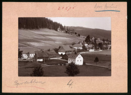 Fotografie Brück & Sohn Meissen, Ansicht Rehefeld I. Erzg., Blick Auf Den Ort Mit Jagdschloss  - Orte