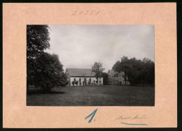 Fotografie Brück & Sohn Meissen, Ansicht Waldenburg I. Sa., Blick Auf Den Gasthaus Grünefeld  - Lieux