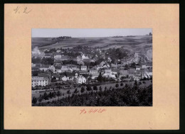 Fotografie Brück & Sohn Meissen, Ansicht Rosswein, Blick Auf Die Stadt Vom Pilz Aus, Güterzüge  - Orte