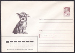 Russia Postal Stationary S1843 Dog - Chiens
