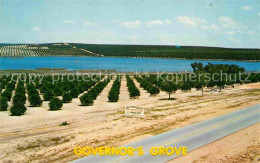 72891682 Florida_US-State Governors Orange Grove - Andere & Zonder Classificatie