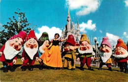 72878938 Walt_Disney_World Snow White Seven Dwarfs  - Autres & Non Classés