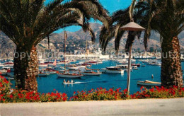 72877092 Catalina Island Avalon Bay Palm Trees Catalina Island - Sonstige & Ohne Zuordnung