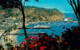 72872612 Catalina Island Avalon Bay Catalina Island - Sonstige & Ohne Zuordnung