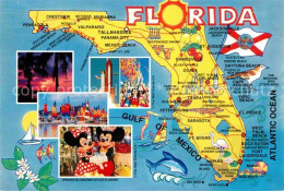 72868386 Florida_US-State Teilansichten Gebietskarte - Altri & Non Classificati