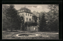 AK Thüngen, Schloss Thüngen Mit Springbrunnen  - Other & Unclassified