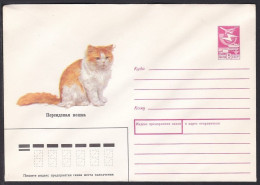 Russia Postal Stationary S1982 Persian Cat - Hauskatzen