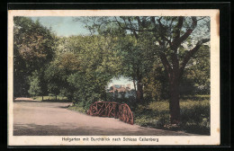 AK Callenberg, Hofgarten Mit Durchblick Zum Schloss  - Otros & Sin Clasificación