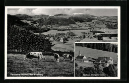 AK Hinterzarten-Feldberg, Gasthaus Heiligenbrunnen, Panorama, Bes. Frau Ketterer  - Hinterzarten