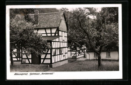 AK Nideggen / Hetzinger Hof, Erholungsheim Gebrüder Schoeller, Gästehaus Storchennest  - Autres & Non Classés