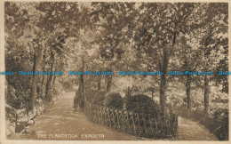 R628265 Exmouth. The Plantation. Valentine Series - Monde