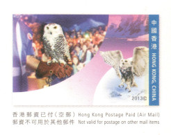 Hong Kong 2013, Bird, Birds, Ocean Park, Postal Stationery, Pre-Stamped Post Card, 1v, MNH** - Eulenvögel