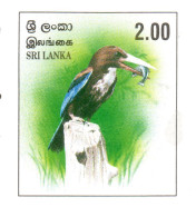 Sri Lanka 2000, Bird, Birds, Kingfisher, Postal Stationery, Pre-Stamped Post Card, 5v, MNH** - Otros & Sin Clasificación