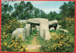 Vieilles Pierres En Bretagne - Dolmen De Crucuno - Other & Unclassified