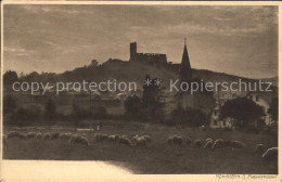 72130471 Koenigstein Taunus Kirche Schlossruine Schafherde Koenigstein Im Taunus - Königstein