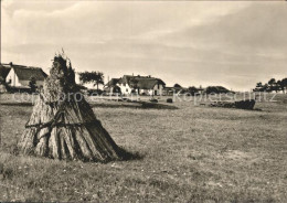 72130289 Neuendorf Hiddensee Feld Insel Hiddensee - Autres & Non Classés