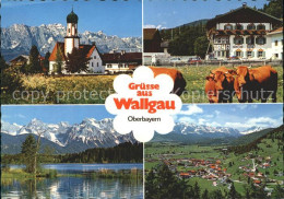 72129261 Wallgau Dorfkirche Wettersteingebirge Gasthof Post Barmsee Kuehe Wallga - Other & Unclassified
